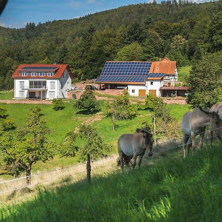 Gruenewaldhof In Rimbach Im Odenwald Apartment Exterior photo