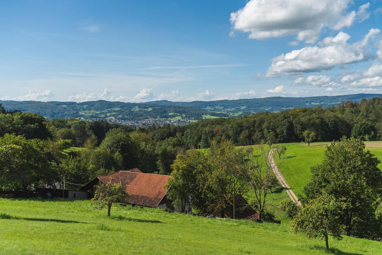 Gruenewaldhof In Rimbach Im Odenwald Apartment Exterior photo
