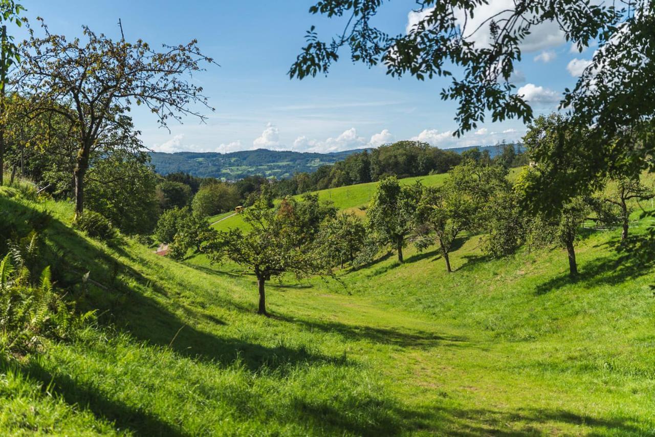 Gruenewaldhof In Rimbach Im Odenwald Apartment Exterior photo